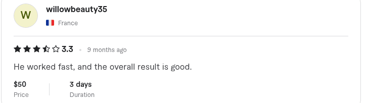 Fiverr review from willowbeauty35